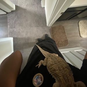 Meet your Posher, David